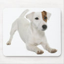 Search for russell mousepads Puppy