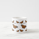 Search for common mugs Insect