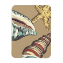 Search for shell magnets Nature