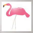 Search for teardrops posters Pink
