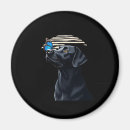 Search for black lab magnets Puppy