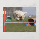 Search for hurdle postcards Vitality
