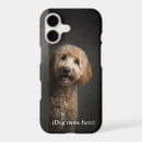Search for goldendoodle Doodle dog