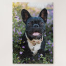 Search for french bulldog puzzles Pets
