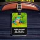 Search for costa accessories Anura