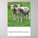 Search for spotty posters Spots