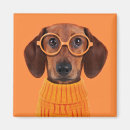 Search for eyeglasses magnets Cute