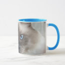 Search for ragdoll cats mugs Kitty