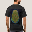 Search for gaia Gaea