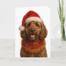 Search for cockapoo cards Cockerpoo
