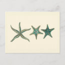 Search for shell borders cards invites Starfish