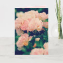 Search for peachy cards Roses