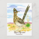 Search for desert bird postcards Roadrunner