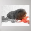 Search for cute pig art Rodents