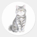 Search for grey tabby cat stickers Kitty