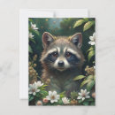 Search for cute raccoons postcards Nature