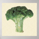 Search for broccoli posters Vegetable