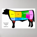 Search for beef cut posters Food