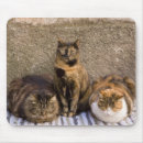 Search for restful mousepads Calm