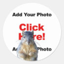 Search for squirrel picture stickers Funny