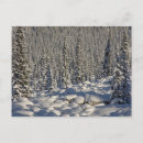 Search for jasper postcards Icefields parkway