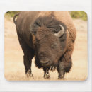 Search for selected mousepads Wildlife