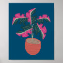 Search for monstera posters Tropical