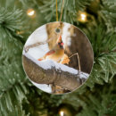 Search for female cardinal christmas tree decorations Winter