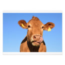 Search for moo posters Cute
