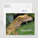Search for tropical lizard postcards Animal