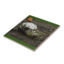 Search for deer tiles Skull