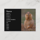 Search for prairie business cards Outdoors