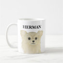 Search for long haired mugs Chihuahua