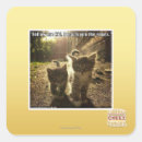 Search for follow me stickers I can has cheezburger