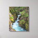 Search for avalanche art Montana
