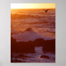 Search for big sur posters Coasts