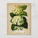 Search for vintage flower garden birthday cards Pink
