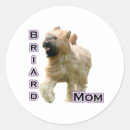 Search for briard stickers Berger de brie