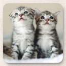 Search for cute coasters Pets