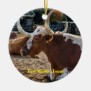 Search for longhorn cow christmas decor Texas