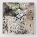 Search for leopard clocks Big cat