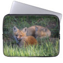 Search for sibling cases Fox