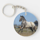 Search for appaloosas key rings Bob langrish