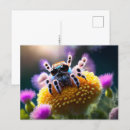Search for spiders postcards Cute