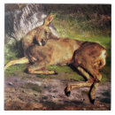 Search for deer tiles Fawn