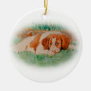 Search for brittany spaniel christmas tree decorations Dog