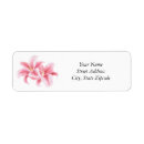 Search for stargazer lily return address labels Flowers