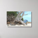 Search for swing canvas prints Thailand