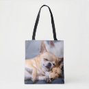 Search for dog sleeping bags Animal
