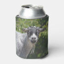 Search for goat can coolers Humour